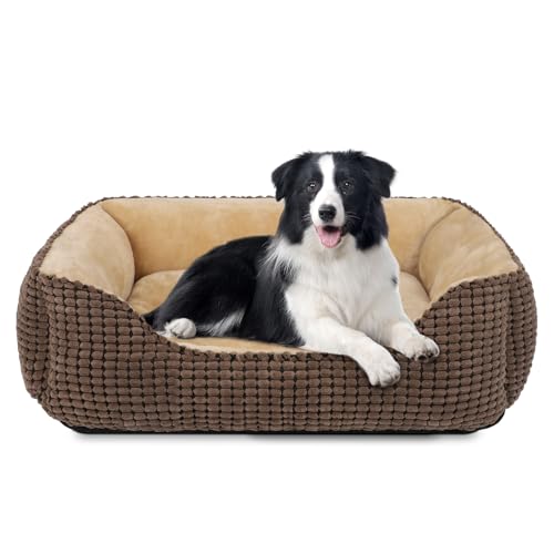 JOEJOY Hundebett Mittelgroße Hunde, Hundekorb Waschbar Flauschig, rutschfeste Plüsch Hundebetten, 76x61x23cm, Hundekörbchen für Mittelgroße und Große Katzen und Hunde von JOEJOY