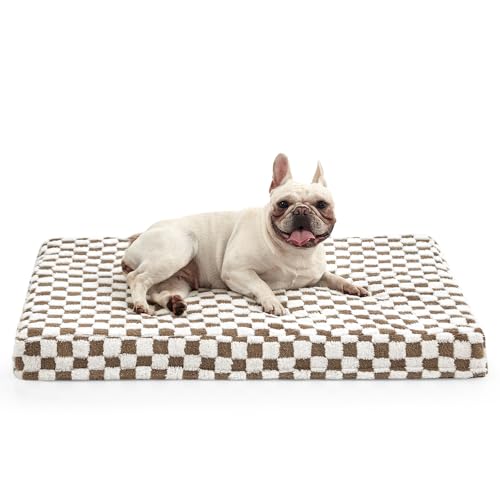JOEJOY Hundebett für mittelgroße Hunde, großes orthopädisches Hundebett mit abnehmbarem, waschbarem Bezug, niedliches, modernes Plüsch- und Memory-Eierkisten-Schaumstoff-Hundebett, 76,2 x 50,8 cm, JOEJOY Hundebett für mittelgroße Hunde, großes orthopädisches Hundebett mit abnehmbarem, waschbarem Bezug, niedliches, modernes Plüsch- und Memory-Eierkisten-Schaumstoff-Hundebett, 76,2 x 50,8 cm, von JOEJOY