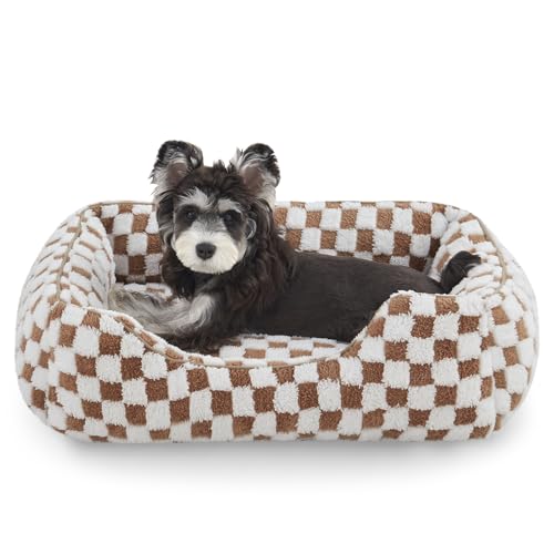 JOEJOY Hundebetten für kleine Hunde, niedliches Katzenbett für Hauskatzen, beruhigendes Haustierbett, rechteckig, orthopädisch, kuschelig, Welpenbett mit Jacquard-Plüsch, rutschfester Unterseite, 50,8 JOEJOY Hundebetten für kleine Hunde, niedliches Katzenbett für Hauskatzen, beruhigendes Haustierbett, rechteckig, orthopädisch, kuschelig, Welpenbett mit Jacquard-Plüsch, rutschfester Unterseite, 50,8 von JOEJOY
