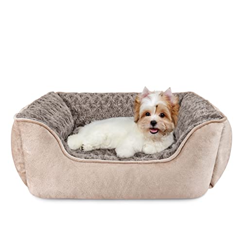 JOEJOY Rechteckiges Hundebett für große, mittelgroße und kleine Hunde, maschinenwaschbar, Schlafsofa für Hunde, rutschfeste Unterseite, atmungsaktiv, weich, langlebig, mehrere Größen, Beige JOEJOY Rechteckiges Hundebett für große, mittelgroße und kleine Hunde, maschinenwaschbar, Schlafsofa für Hunde, rutschfeste Unterseite, atmungsaktiv, weich, langlebig, mehrere Größen, Beige von JOEJOY