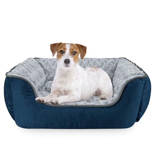 JOEJOY Rechteckiges Hundebett für große, mittelgroße und kleine Hunde, waschbar, orthopädisches Schlafsofa, weich, atmungsaktiv, für Welpen und Haustiere, langlebig, beruhigendes Hundebett mit JOEJOY Rechteckiges Hundebett für große, mittelgroße und kleine Hunde, waschbar, orthopädisches Schlafsofa, weich, atmungsaktiv, für Welpen und Haustiere, langlebig, beruhigendes Hundebett mit von JOEJOY