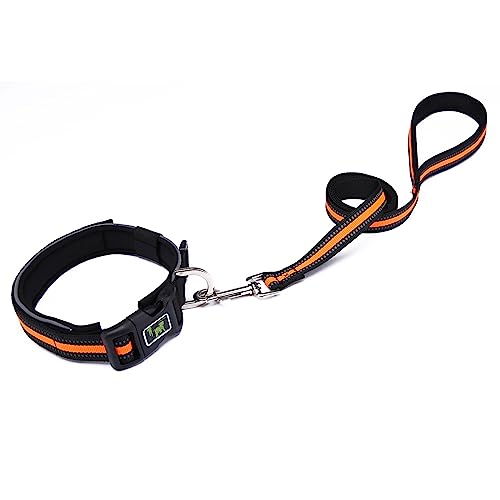 JOERBABU Halsband für Haustiere, Katzen, Hunde, mit reflektierendem Seil, verstellbarer Halsband, leuchtende Schnallen, Haustierprodukte JOERBABU Halsband für Haustiere, Katzen, Hunde, mit reflektierendem Seil, verstellbarer Halsband, leuchtende Schnallen, Haustierprodukte von JOERBABU