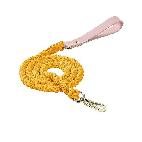 JOERBABU Weberei-Hundeleine, 120 cm/150 cm, farblich passendes Kätzchen-Zugseil, Laufleine für kleine Haustiere, Hunde, Katzen, Anti-Entkommen JOERBABU Weberei-Hundeleine, 120 cm/150 cm, farblich passendes Kätzchen-Zugseil, Laufleine für kleine Haustiere, Hunde, Katzen, Anti-Entkommen von JOERBABU