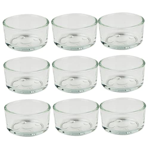 9Stücke Teiliges Reptilien Wasserschalen für Schildkröten Echsen und Schlangen Transparente Futterschalen für Terrarien Langlebig und Sicher Servieren von Wasser von JOINPAYA