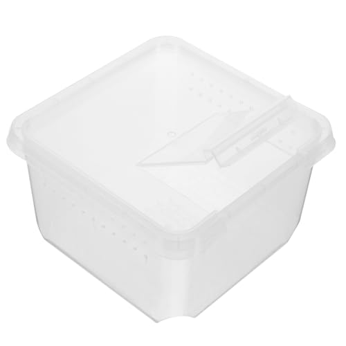 Habitat Zuchtbox für Kleine Reptilien Futter Klarsichtbox aus Robustem für Spinnen und Geckos Langlebig und Sicher die Aufzucht und Pflege Habitat Zuchtbox für Kleine Reptilien Futter Klarsichtbox aus Robustem für Spinnen und Geckos Langlebig und Sicher die Aufzucht und Pflege von JOINPAYA