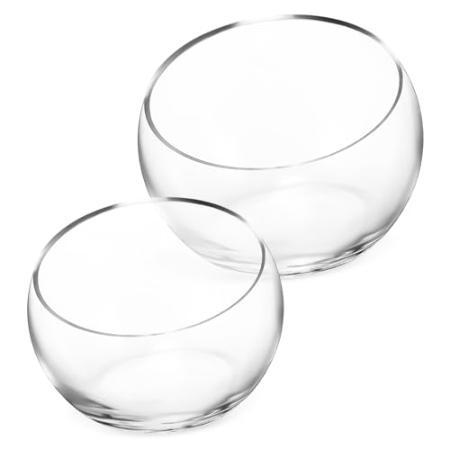 JOINPAYA 1 Satz Glasvase Teiliges Mit Schrägem Öffnungsdesign Für Mikrolandschaften Dekorative Glaskrüge Für Innen Und Außenbereich 2 Stück JOINPAYA 1 Satz Glasvase Teiliges Mit Schrägem Öffnungsdesign Für Mikrolandschaften Dekorative Glaskrüge Für Innen Und Außenbereich 2 Stück von JOINPAYA