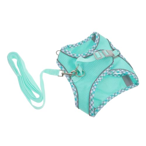 JOINPAYA 1 Set Haustier Trageschnalle Walking Train Tags Kit Passend Für Leinenabdeckung Haustierbedarf Mit Buddy XXX Dogs Slip Grooming Puppy Harness Multifunktionales Hundegeschirr JOINPAYA 1 Set Haustier Trageschnalle Walking Train Tags Kit Passend Für Leinenabdeckung Haustierbedarf Mit Buddy XXX Dogs Slip Grooming Puppy Harness Multifunktionales Hundegeschirr von JOINPAYA