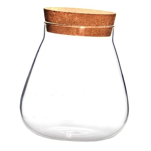 JOINPAYA 1 Stück Glasflasche Ornamente pflanzenterrarium glasgefäß Terrarium unterschrank bastelset künstliche Pflanzen Terrarienglas mit Korkdeckel Moosglas Flaschenverschluss Kork Brown von JOINPAYA