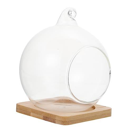 JOINPAYA 1 Stück Hängendes Terrarium für DIY Landschaften Bambusunterlage für Dekoration im Wohnzimmer Schlafzimmer und Kleine Pflanzen und Arrangements von JOINPAYA