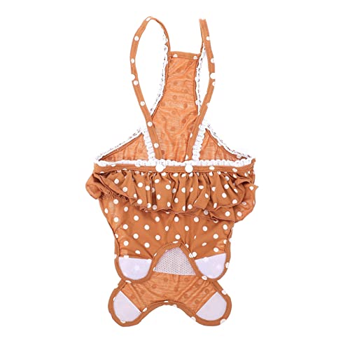 JOINPAYA 1 Stück Hundewindel für Hündinnen Atmungsaktive Hygienehose Punkten für Menstruation für und Gepflegte Hunde JOINPAYA 1 Stück Hundewindel für Hündinnen Atmungsaktive Hygienehose Punkten für Menstruation für und Gepflegte Hunde von JOINPAYA