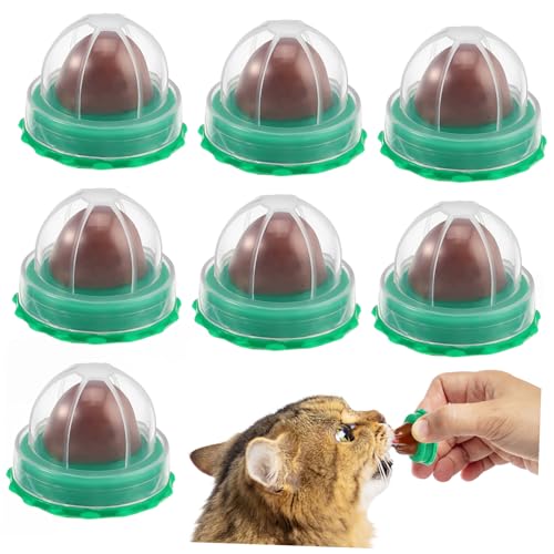 JOINPAYA 10 Stück Snacks Für Katzen Süßigkeiten Lecken Catnip Candy Erwachsene Essbar Haustier Schüttgut Katzenfischkugel Katze Behandelt Leckbar Katzensnacks Ball Drinnen Katzenminze Green von JOINPAYA
