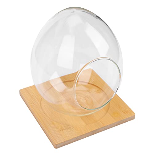 JOINPAYA 1Satz Dekorative Terrarium Flasche Für DIY Mikrolandschaften Großes Eierform Design Mit Unterlage Für Innenraumbegrünung Und Dekoration von JOINPAYA