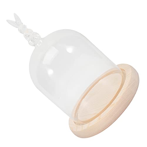 JOINPAYA 1Satz Einzigartiger Hasenförmiger Glasdom Mit Holzsockel Mikrolandschaftsglasabdeckung Exquisite Blumenbedeckung Transparentes Staubschutz Dekorationselement von JOINPAYA