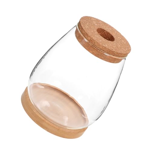 JOINPAYA 1Satz Glasflasche Terrarium für Hydroponische Pflanzen DIY Tischdekoration Transparente Flasche mit Bambusdeckel für Mikrolandschaften und Tischdeko von JOINPAYA