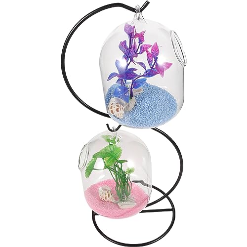 JOINPAYA 1Satz Hängendes Mini Aquarium mit Eisenständer Transparente Betta Tank Dekoration für Büro und Zuhause mit Vogelkäfig Glasbehältern Kreative Ökologie Zufällige Farben JOINPAYA 1Satz Hängendes Mini Aquarium mit Eisenständer Transparente Betta Tank Dekoration für Büro und Zuhause mit Vogelkäfig Glasbehältern Kreative Ökologie Zufällige Farben von JOINPAYA