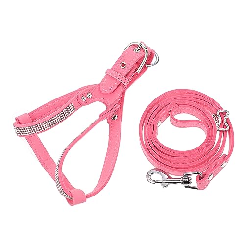 JOINPAYA 1Satz Hundegeschirr Set Mit Leine Verstellbares Brustgeschirr Aus Hochwertigem Material Traktionsseil Für Angenehmen Kleine JOINPAYA 1Satz Hundegeschirr Set Mit Leine Verstellbares Brustgeschirr Aus Hochwertigem Material Traktionsseil Für Angenehmen Kleine von JOINPAYA
