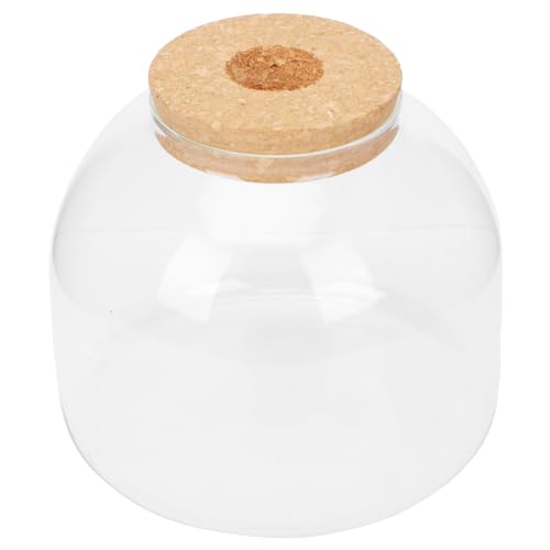 JOINPAYA 1Satz Mikrolandschaftsflasche Dekorativer Aufbewahrungskanister für Pflanzen DIY Container für Schlafzimmer Wohnzimmer Korkverschluss JOINPAYA 1Satz Mikrolandschaftsflasche Dekorativer Aufbewahrungskanister für Pflanzen DIY Container für Schlafzimmer Wohnzimmer Korkverschluss von JOINPAYA