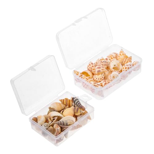 JOINPAYA 2 Boxen Natürliche Meeresschnecken Muschelset Boxen Aquarium Deko DIY Bastelmaterial für Teichdekoration und Marinetank Ornamente Authentische Conch für Fischbecken und von JOINPAYA