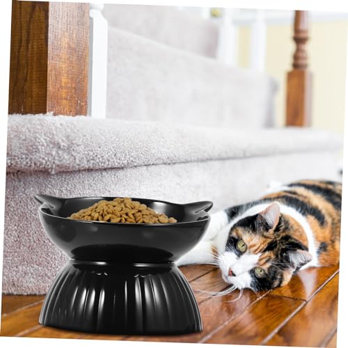 JOINPAYA 2 Sätze Erhöhte Keramik Katzennäpfe mit Rutschfestem Kunststoffboden Spülmaschinenfest für Katzen und Kleine Hunde Stabiler Futternapf für Futter und Wasser Design Modernes Weiß JOINPAYA 2 Sätze Erhöhte Keramik Katzennäpfe mit Rutschfestem Kunststoffboden Spülmaschinenfest für Katzen und Kleine Hunde Stabiler Futternapf für Futter und Wasser Design Modernes Weiß von JOINPAYA