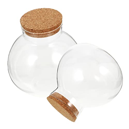 JOINPAYA 2 Stück Eco-Flasche Aquarium-Mikrolandschaftsflasche drinnen Terrarienglas Pflanzen saftig runden Terrarienflasche aus Glas Pflanzenterrarium -Krug Glas- Kork JOINPAYA 2 Stück Eco-Flasche Aquarium-Mikrolandschaftsflasche drinnen Terrarienglas Pflanzen saftig runden Terrarienflasche aus Glas Pflanzenterrarium -Krug Glas- Kork von JOINPAYA