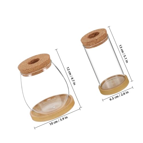 JOINPAYA 2 Stück Glas Pflanzgefäße mit Korkdeckel und Ablageschale Hydroponische Pflanzenvasen mit Wasserspeicher Terrarien für Zimmerpflanzen Einfache Pflege und Stilvolle Dekoration von JOINPAYA