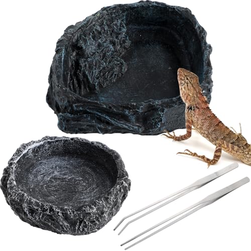 JOINPAYA 2 Stück Reptilien Wassernäpfe mit Futterbehälter und Pinzetten für Schildkröten Echsen Frösche Geckos und Schlangen Harz Gefertigt JOINPAYA 2 Stück Reptilien Wassernäpfe mit Futterbehälter und Pinzetten für Schildkröten Echsen Frösche Geckos und Schlangen Harz Gefertigt von JOINPAYA