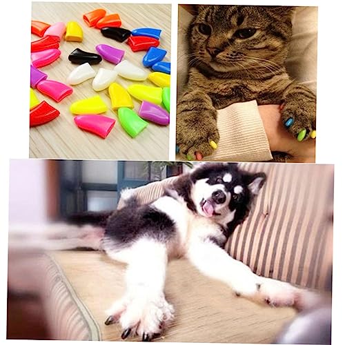 JOINPAYA 20 Stück Katzenkrallen Schutzkappen S Bequeme und Sichere Krallenabdeckung für Katzen Schützt Möbel und Sorgt für Stilvolles Aussehen JOINPAYA 20 Stück Katzenkrallen Schutzkappen S Bequeme und Sichere Krallenabdeckung für Katzen Schützt Möbel und Sorgt für Stilvolles Aussehen von JOINPAYA