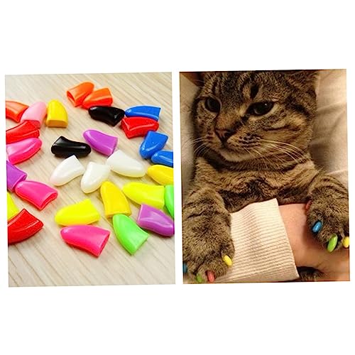JOINPAYA 20 Stück Katzenkrallen Schutzkappen S Natürlicher Bequemer Schutz für Katzenkrallen Modisches Design gegen Schädliches Kratzen zu Verwenden Sicher und Präzise Gefertigt JOINPAYA 20 Stück Katzenkrallen Schutzkappen S Natürlicher Bequemer Schutz für Katzenkrallen Modisches Design gegen Schädliches Kratzen zu Verwenden Sicher und Präzise Gefertigt von JOINPAYA