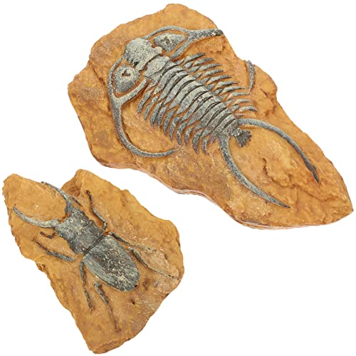JOINPAYA 2Stücke Reptilien Figuren Kreative Fossilien Für Terrarien Und Sicher Aus Hochwertigem Resin Gecko Und Schlangen Gestaltung Für Reptilienboxen von JOINPAYA