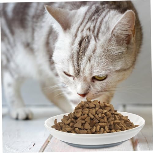 JOINPAYA 3 Stück Keramik Flacher Katzenfutternapf Teiliges mit Rutschfestem Silikonboden Stabile Katzennäpfe für Katzen Aller Gesundes Futter und Wassernapf JOINPAYA 3 Stück Keramik Flacher Katzenfutternapf Teiliges mit Rutschfestem Silikonboden Stabile Katzennäpfe für Katzen Aller Gesundes Futter und Wassernapf von JOINPAYA
