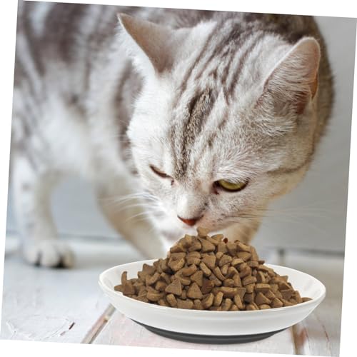JOINPAYA 3 Stück Keramik Katzennapf mit Rutschfestem Silikonboden Flacher Futternapf für Katzen Vielseitig Sicher Kleines Haustier Innen Außen Verwendbar JOINPAYA 3 Stück Keramik Katzennapf mit Rutschfestem Silikonboden Flacher Futternapf für Katzen Vielseitig Sicher Kleines Haustier Innen Außen Verwendbar von JOINPAYA