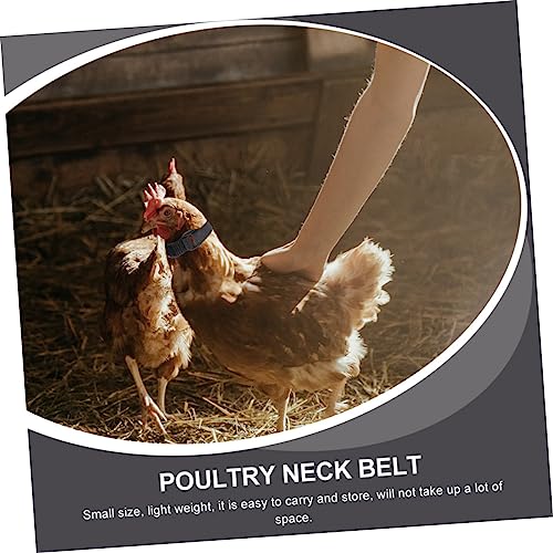 JOINPAYA 4 Stück Teiliges Hühnerhalsband Robustes Nylon Material Geräuschreduzierender Hahn Kragen Leichter Tragbarer Geflügelhalsriemen Geeignet für Hühner und Bauernhofgebrauch von JOINPAYA