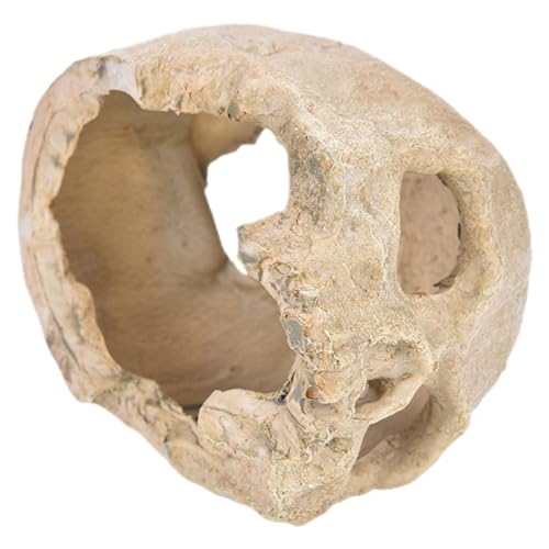 JOINPAYA Aquarium Schädel Statue aus Harz Dekoration für Aquarien Versteckplatz für Garnelen und Fische Langlebig und Pflegeleicht für Reptilienhabitate Tischdekoration von JOINPAYA