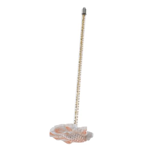JOINPAYA Betta Fisch Trainingsstab Gelb Betta Fischspielzeug Schonend Material Langlebig Für Bewegliche Dekoration und Training von JOINPAYA