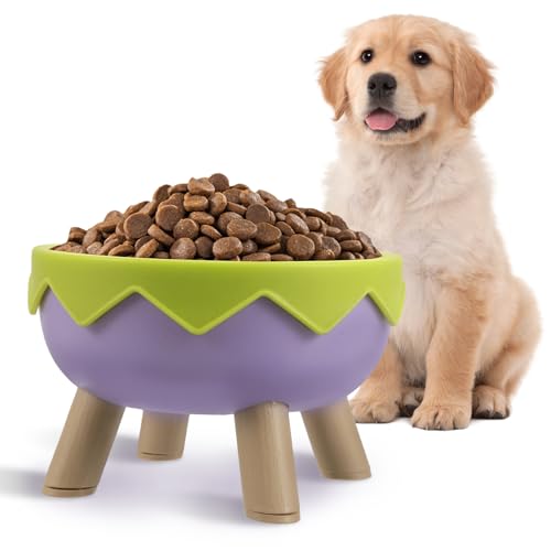 JOINPAYA Ergonomischer Katzenschüssel mit Rutsch Boden für Katzen Kleine Hunde und Haustiere für Stressfreie Fütterung und Frisches Futter JOINPAYA Ergonomischer Katzenschüssel mit Rutsch Boden für Katzen Kleine Hunde und Haustiere für Stressfreie Fütterung und Frisches Futter von JOINPAYA