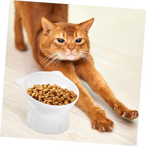 JOINPAYA Erhöhte Keramik Katzennapf mit Ergonomischem Design Spülmaschinen und Mikrowellengeeignet Rutschfester Futternapf zur Reduzierung von Erbrechen und Nackenbelastung Kompakt und JOINPAYA Erhöhte Keramik Katzennapf mit Ergonomischem Design Spülmaschinen und Mikrowellengeeignet Rutschfester Futternapf zur Reduzierung von Erbrechen und Nackenbelastung Kompakt und von JOINPAYA