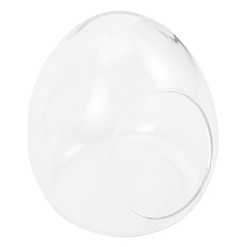 JOINPAYA Glasflasche Aquarium Zimmerpflanzen Ökologische Flasche Dekorative Flasche Terrarien Landschaftsbehälter Kräutertöpfe Inneneinrichtung Glasbehälter Pflanzenflasche von JOINPAYA