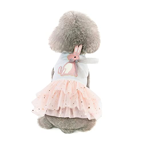 JOINPAYA Haustierrock Haustierkleidung Hundekostüme Für Kleine Hunde Welpen Hundekleidung Tüllkleid Für Hunde Bekleidung Ausgefallenes Spitzenoutfit Haustierkleid Tutu Kleid Weiß JOINPAYA Haustierrock Haustierkleidung Hundekostüme Für Kleine Hunde Welpen Hundekleidung Tüllkleid Für Hunde Bekleidung Ausgefallenes Spitzenoutfit Haustierkleid Tutu Kleid Weiß von JOINPAYA
