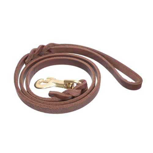 JOINPAYA Hundeleine pet Supplies bodentrampolin Outdoor hundegürtel hundehalsbänder Dog Accessories Welpe Tracking-Hundeseil für Sicherheitshundleine verschleißfeste Haustierleine Eisen rot von JOINPAYA