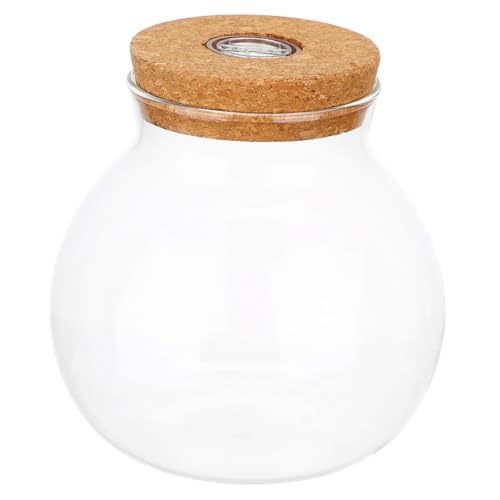 JOINPAYA Hydroponik Vase mit Licht und Korkdeckel Runde Pflanzstation für Pflanzenvermehrung Dekoratives Terrarium für Innen und Außenbereich Transparente Glasflasche von JOINPAYA