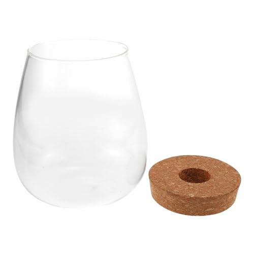 JOINPAYA Hydroponische Pflanzen Glasflasche Terrarium mit Moos Landschaft DIY Ökoflasche Große Wasserpflanzen Flasche für Landschaft Dekoration Zuhause JOINPAYA Hydroponische Pflanzen Glasflasche Terrarium mit Moos Landschaft DIY Ökoflasche Große Wasserpflanzen Flasche für Landschaft Dekoration Zuhause von JOINPAYA