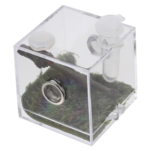 JOINPAYA Kasten Springspinnen-zuchtbox Springspinnen-Terrarium Spinnenfütterungsterrarium Lebensraum Fall Luftbefeuchter Container Spinnenzuchtfall Reptilien-fluchtfall Zuchtbehälter Acryl von JOINPAYA