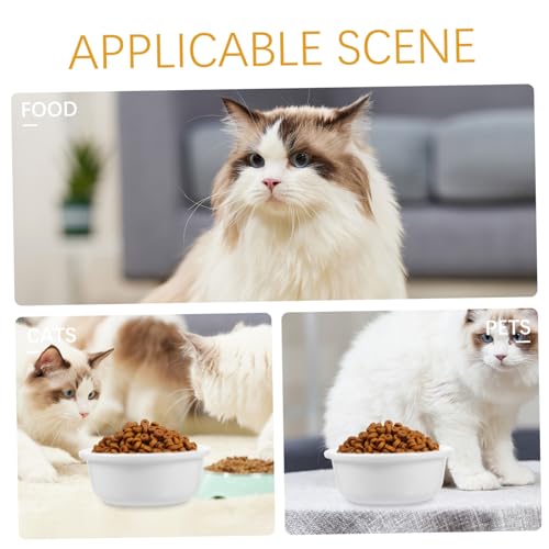 JOINPAYA Keramik Katzenfutternapf mit Glatter Oberfläche Großer Kapazität Rutschfestem Boden Einfacher Geeignet für Katzen Kätzchen und Kleine Hunde Komfortables Fressen und Trinken von JOINPAYA
