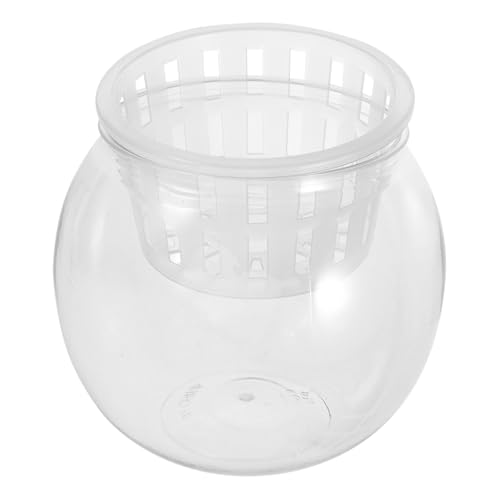 JOINPAYA Klares Aquarium für Ökosysteme Kleines Desktop Aquarium für Betta Fische und Wasserpflanzen Dekoration für Wunderschönem Mikrolandschaft Design von JOINPAYA