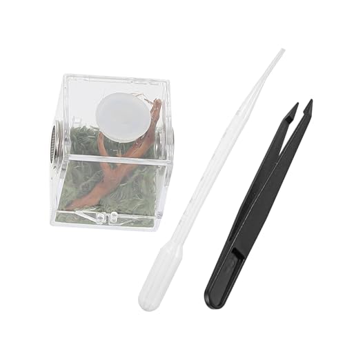 JOINPAYA Kleine Acryl Zuchtbox für Reptilien und Insekten mit Belüftung aus Bruchsicherem Geruchlosem Material Sichere Abdeckung gegen Ausbruch als Terrarium für Spinnen Schnecken und JOINPAYA Kleine Acryl Zuchtbox für Reptilien und Insekten mit Belüftung aus Bruchsicherem Geruchlosem Material Sichere Abdeckung gegen Ausbruch als Terrarium für Spinnen Schnecken und von JOINPAYA
