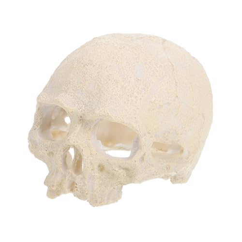 JOINPAYA Künstlicher Resin Schädel Aquarium Ornament mit Realistischem Design Robustes Versteck für Reptilien und Fische Vielseitige Terrarien Aquarien-Dekoration für Halloween und Wohnraum JOINPAYA Künstlicher Resin Schädel Aquarium Ornament mit Realistischem Design Robustes Versteck für Reptilien und Fische Vielseitige Terrarien Aquarien-Dekoration für Halloween und Wohnraum von JOINPAYA