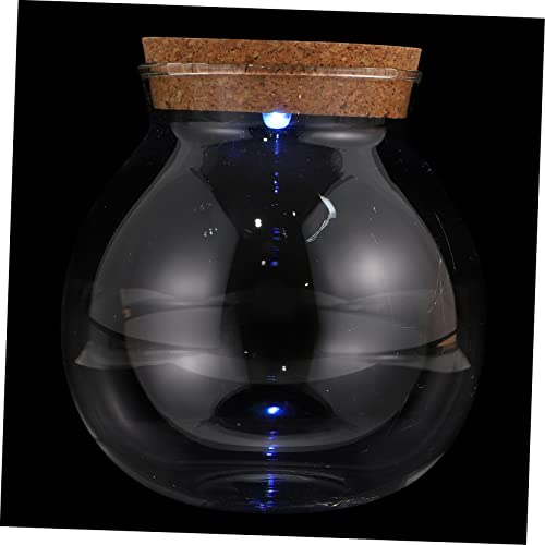 JOINPAYA LED Glasmikro Landschaftsflasche DIY Moos Terrarium Mit Licht Ökologische Glasflasche Für Landschaften von JOINPAYA