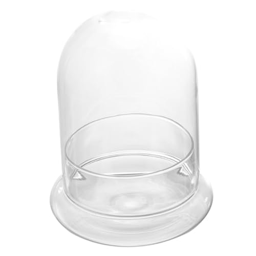 JOINPAYA Landschaftsökologische Flasche Terrarienset Gartenglocke Dekorbehälter Kleine Vase Klare Blumentöpfe Große Vase Inhaber Drinnen Anlage Künstlich Vermehrungsvasen Für Pflanzen Glas von JOINPAYA