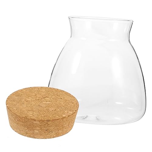 JOINPAYA Micro Landscape Terrarium Glasgefäß für Hydroponische Pflanzen Kleiner Klarer Fischtank Dekorativer Ökologischer Glasflaschengarten für Moos und Miniaturpflanzen von JOINPAYA