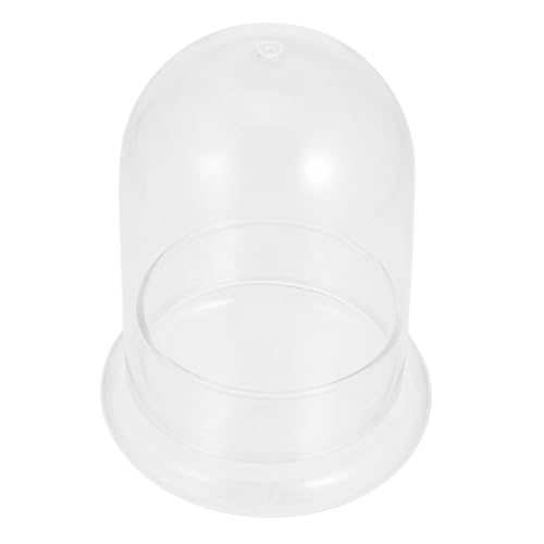 JOINPAYA Mikrolandschaft Glasflasche mit Öffnung DIY Moos Pflanzenbehälter Ökologischer Terrarium Flaschengarten für Wohn und Arbeitsräume Dekoratives Langlebiges Glasdisplay JOINPAYA Mikrolandschaft Glasflasche mit Öffnung DIY Moos Pflanzenbehälter Ökologischer Terrarium Flaschengarten für Wohn und Arbeitsräume Dekoratives Langlebiges Glasdisplay von JOINPAYA